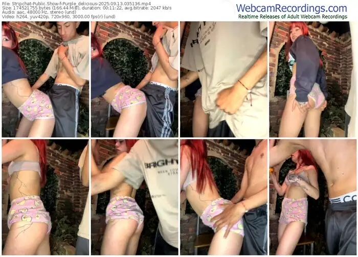 stripchat-purple_delicious-09-13-2025-03-51-36