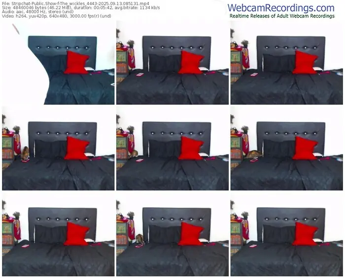 stripchat-the_wickles_4443-09-13-2025-08-51-31