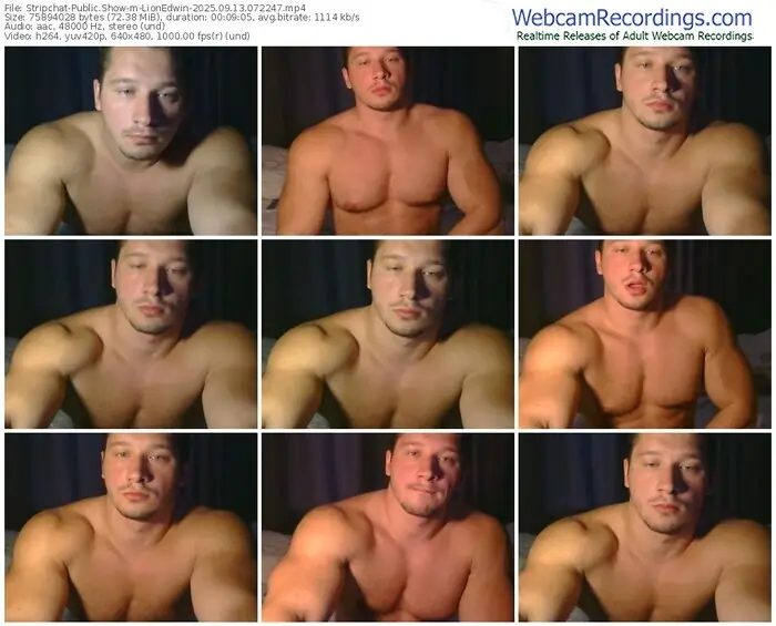 stripchat-lionedwin-09-13-2025-07-22-47