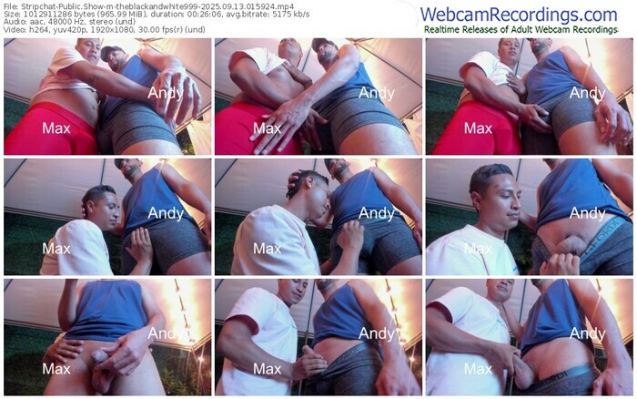 stripchat-theblackandwhite999-09-13-2025-01-59-24