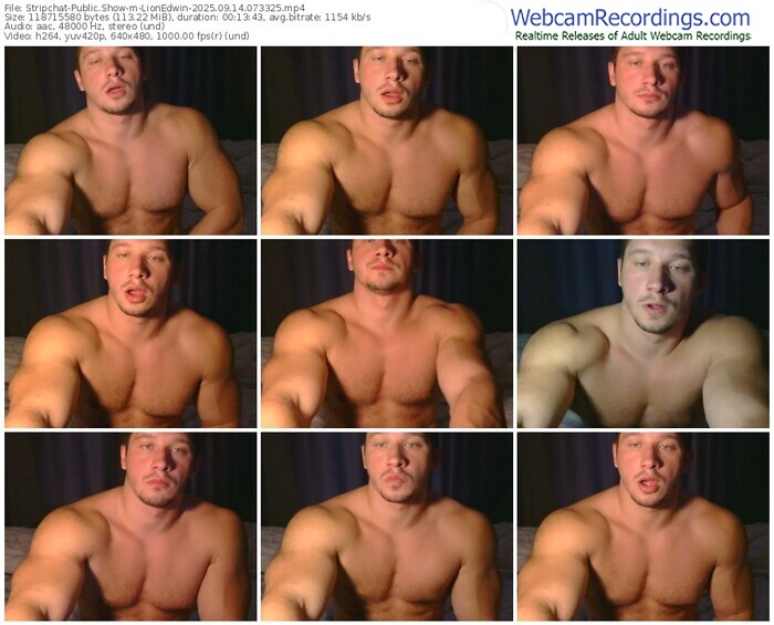 stripchat-lionedwin-09-14-2025-07-33-25