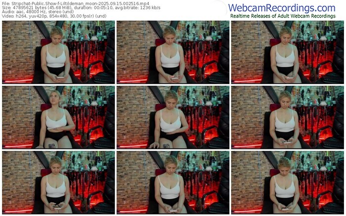 stripchat-liltildeman_moon-09-15-2025-00-25-16