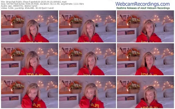 stripchat-aestetick-09-15-2025-09-56-01