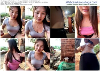 stripchat-chenyu0308-09-15-2025-09-35-11