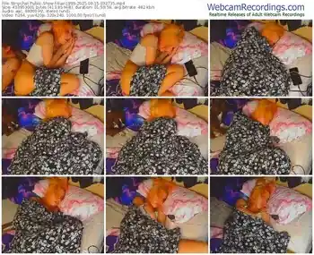 stripchat-flavi1996-09-15-2025-03-27-35