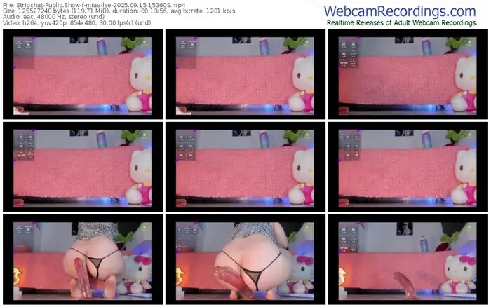 stripchat-miaa-lee-09-15-2025-15-36-09