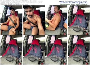 stripchat-bengalascb-09-15-2025-20-16-45