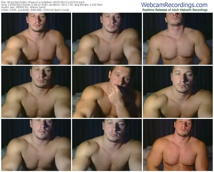 stripchat-lionedwin-09-15-2025-10-15-22