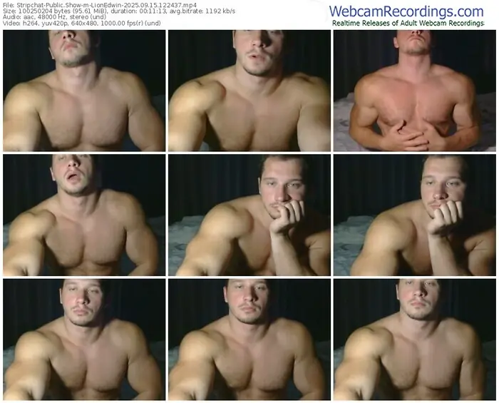 stripchat-lionedwin-09-15-2025-12-24-37