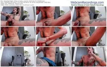 stripchat-harry_reems1-09-15-2025-12-39-08