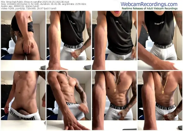 stripchat-sendfer-09-15-2025-19-21-38