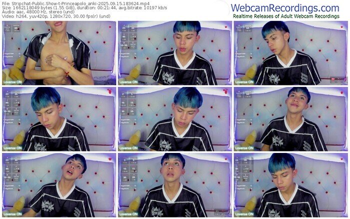 stripchat-princeapolo_anki-09-15-2025-18-36-24