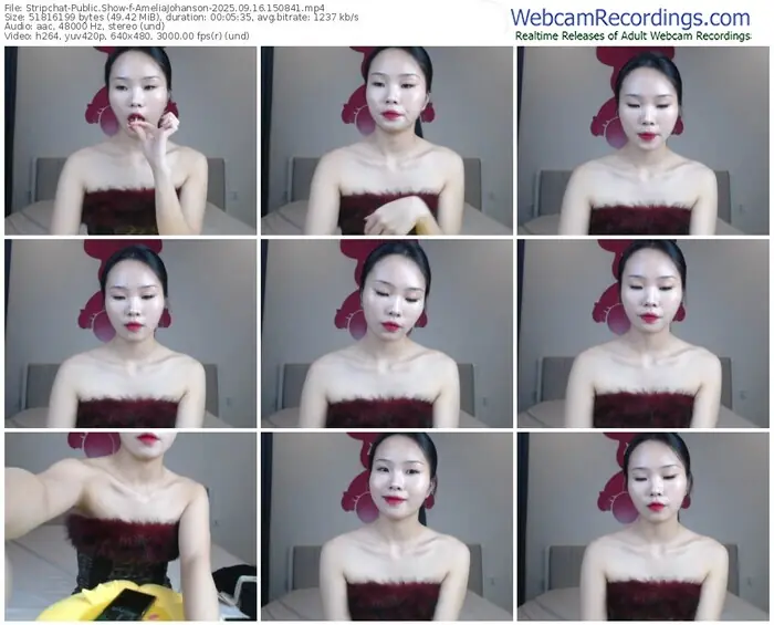stripchat-ameliajohanson-09-16-2025-15-08-41