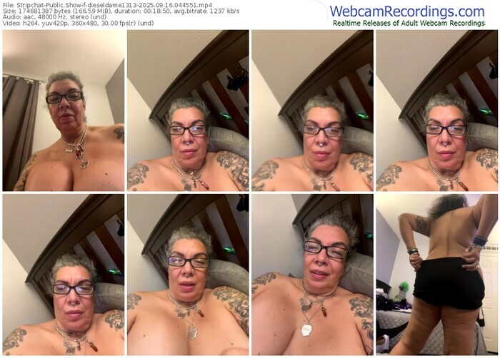 stripchat-dieseldame1313-09-16-2025-04-45-51