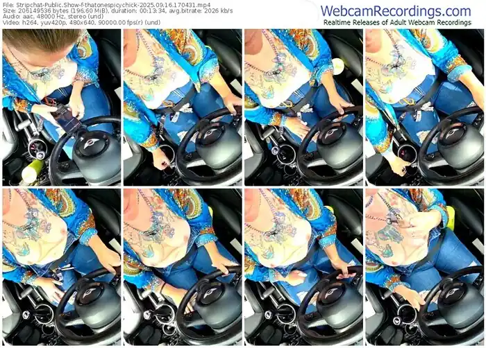 stripchat-thatonespicychick-09-16-2025-17-04-31
