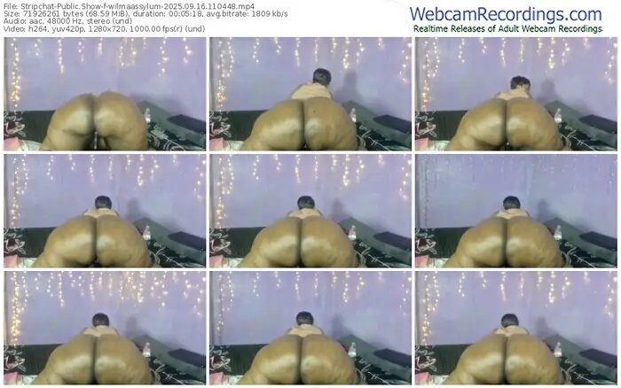 stripchat-wilmaassylum-09-16-2025-11-04-48