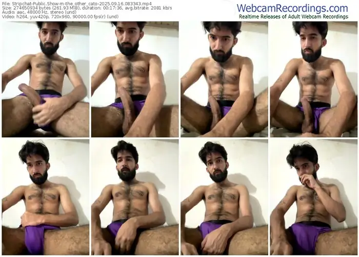 stripchat-the_other_cato-09-16-2025-08-33-43