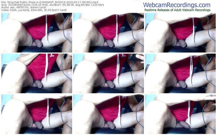 stripchat-dominant_bigdick-09-17-2025-06-26-02