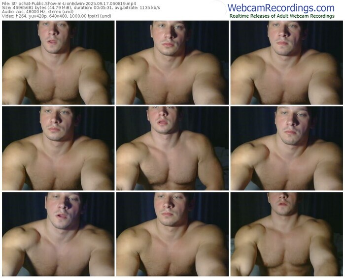 stripchat-lionedwin-09-17-2025-06-08-19