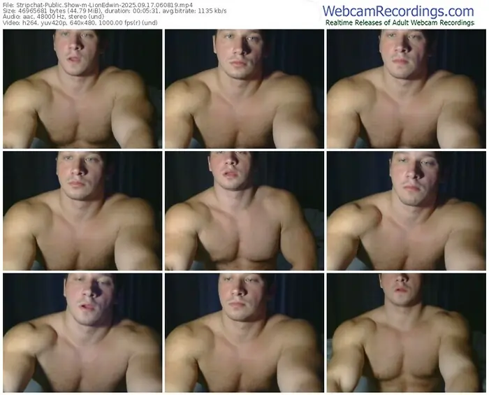 stripchat-lionedwin-09-17-2025-06-08-19