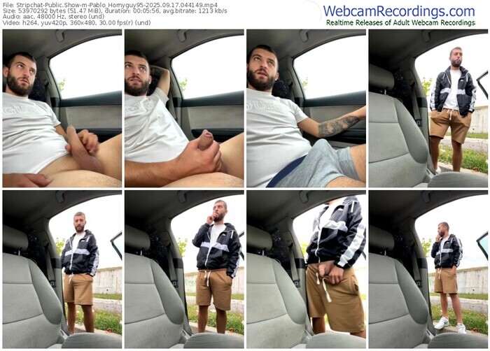 stripchat-pablo_hornyguy95-09-17-2025-04-41-49