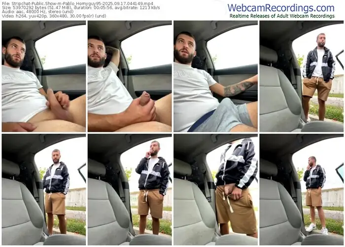 stripchat-pablo_hornyguy95-09-17-2025-04-41-49