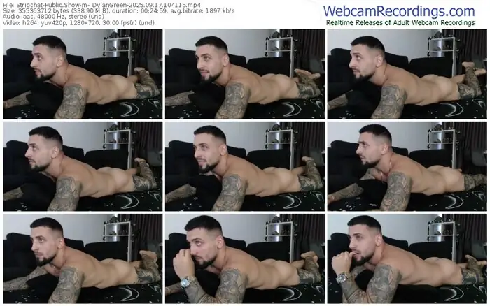stripchat-_dylangreen-09-17-2025-10-41-15