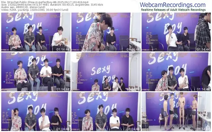 stripchat-perfectboy-88-09-17-2025-16-14-18