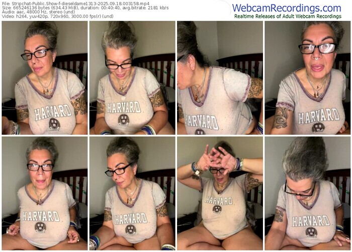 stripchat-dieseldame1313-09-18-2025-00-31-58