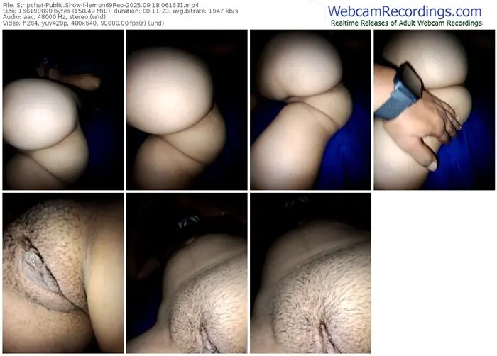 stripchat-lemon69reo-09-18-2025-06-16-31