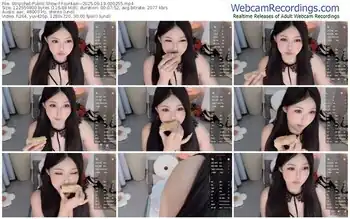 stripchat-fountain--09-19-2025-00-02-55