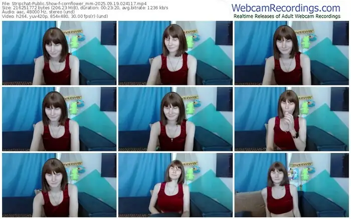 stripchat-cornflower_mm-09-19-2025-02-41-17