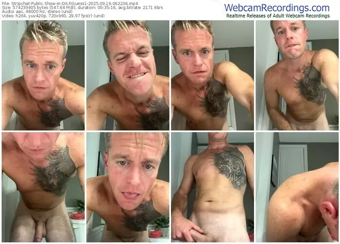 stripchat-dilfiguess1-09-19-2025-06-22-36