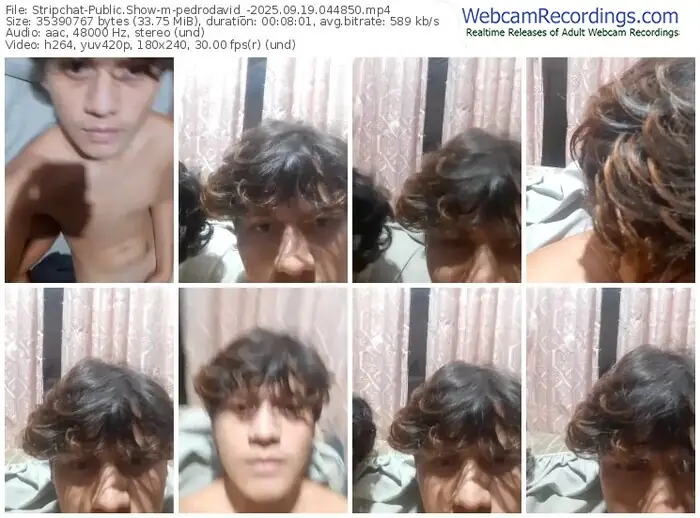 stripchat-pedrodavid_-09-19-2025-04-48-50