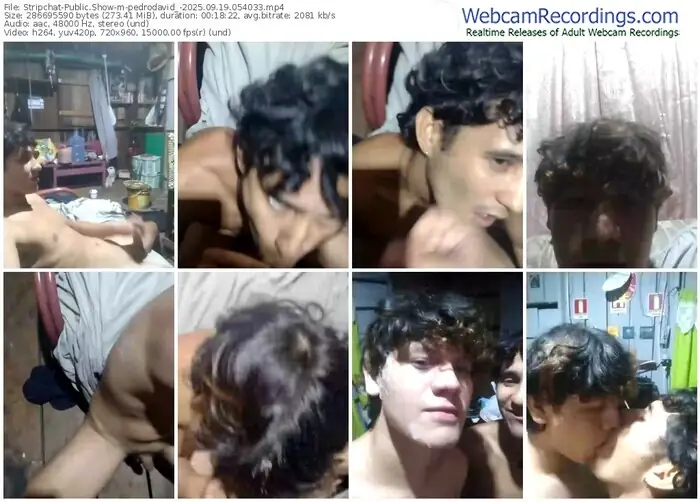 stripchat-pedrodavid_-09-19-2025-05-40-33