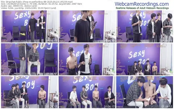 stripchat-perfectboy-88-09-19-2025-14-51-59