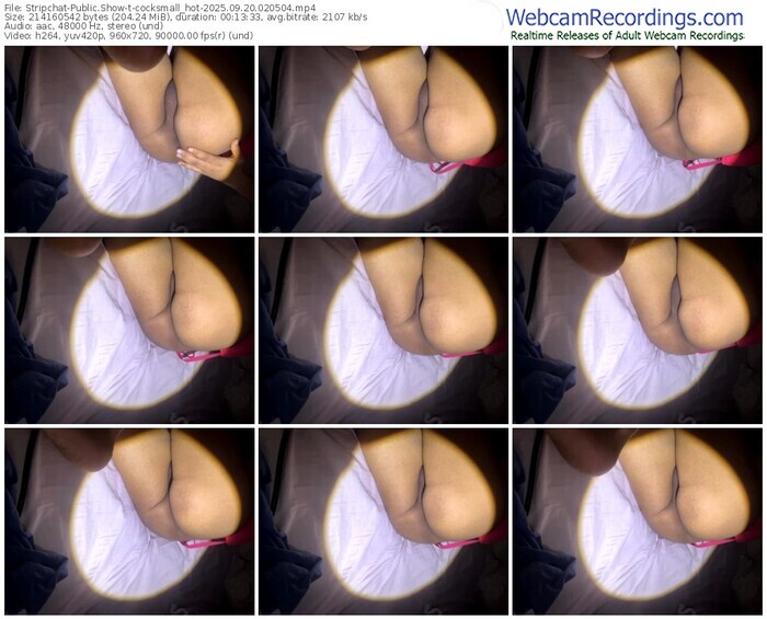 stripchat-cocksmall_hot-09-20-2025-02-05-04