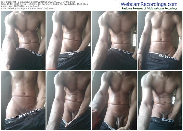 stripchat-harry246809-09-21-2025-11-48-41