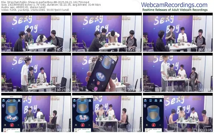 stripchat-perfectboy-88-09-21-2025-16-17-59