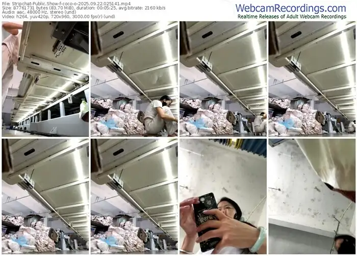 stripchat-coco-o-09-22-2025-02-51-41