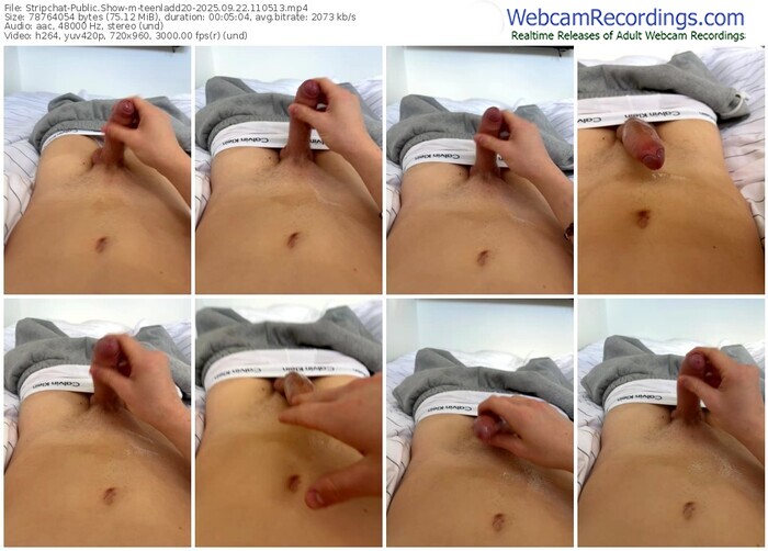 stripchat-teenladd20-09-22-2025-11-05-13