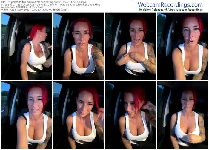 stripchat-black-flamingo-09-23-2025-17-25-17