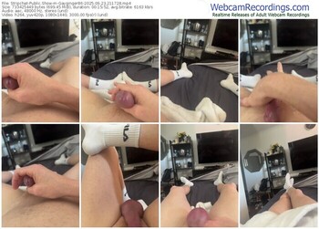 stripchat-gayginger86-09-23-2025-21-17-28