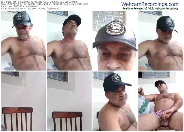 stripchat-peludo173317-09-23-2025-16-15-39
