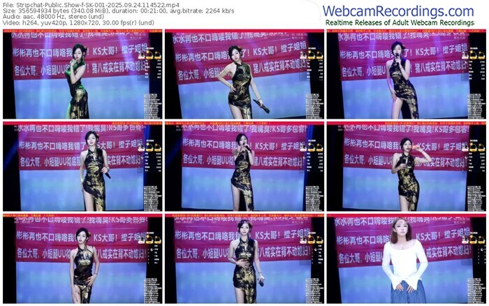 stripchat-sk-001-09-24-2025-11-45-22