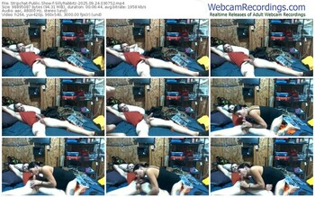 stripchat-sillyrabbitz-09-24-2025-03-07-52