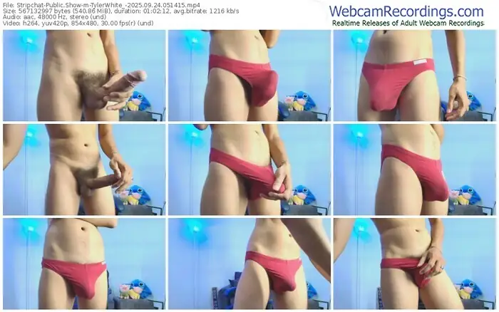 stripchat-tylerwhite_-09-24-2025-05-14-15