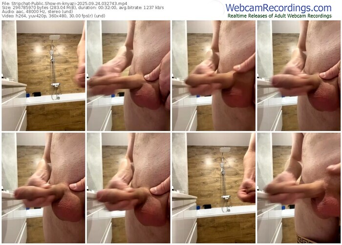 stripchat-knyazi-09-24-2025-03-27-43