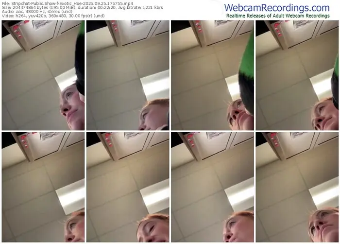 stripchat-exotic_hoe-09-25-2025-17-57-55