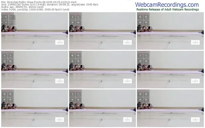 stripchat-vicki-66-09-25-2025-22-21-21